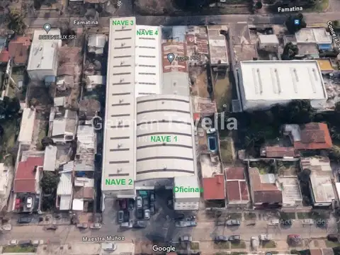 Maestra Muñoz 1500