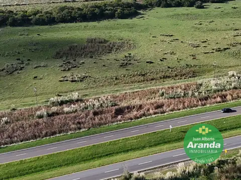 Campo en Venta Mixto