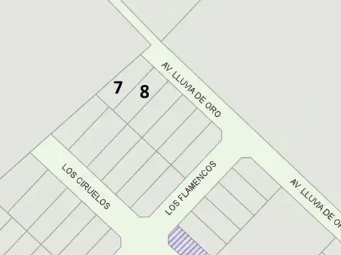 Arroyo Leyes, Av. Lluvia de Oro Ex Calle 100
