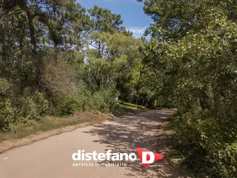 Terreno en Venta en Carilo, USD 120.000
