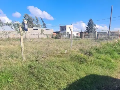 Liniers Y 809