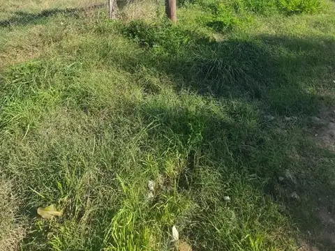 Terreno en Venta 34  mts Fondo