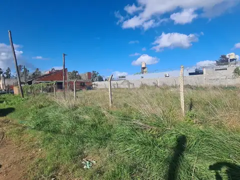 Terreno en Venta de 299,0 m2