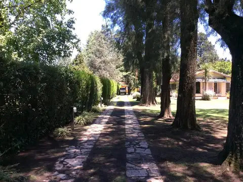 Santa Teresa de Jesus 100