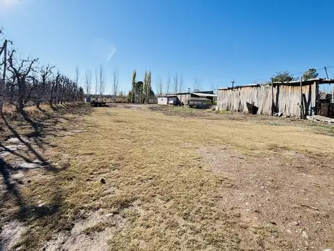 SOBRE RUTA 22 a km del acceso a Fernandez Oro
