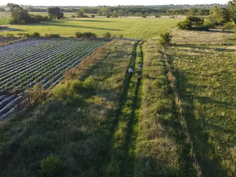 Campo en Venta Chacra