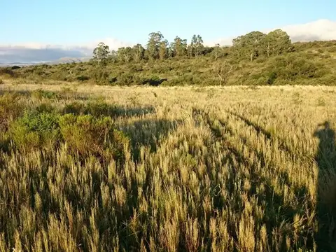 Terreno en Venta en La Falda, USD 9.398