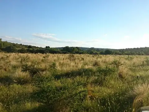 Terreno en Venta de 892,0 m2
