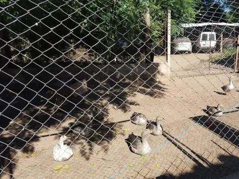 Terreno en Venta en Bouwer, USD 160.000