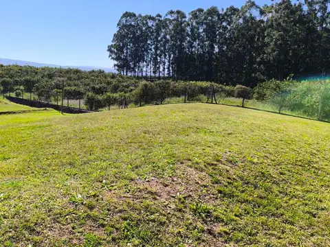 Terreno en Venta de 546,0 m2