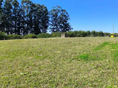 Terreno en venta – Portal del Sol | Los Nogales