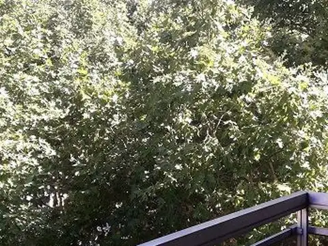 Departamento en Alquiler en Villa del Parque, $ 500.000