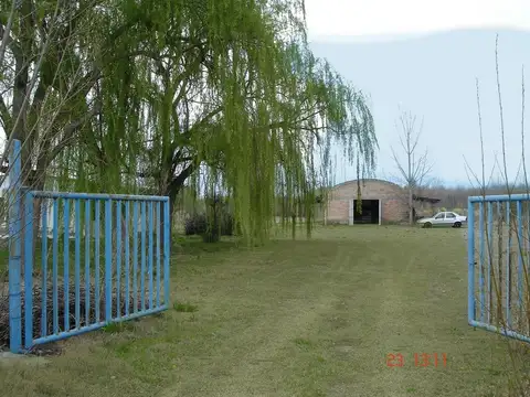 CALLE ANTONIO CRESPO, COLONIA LAS ROSAS, TUNUYAN