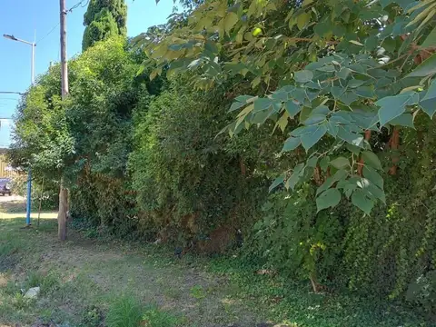 Echeverría 500