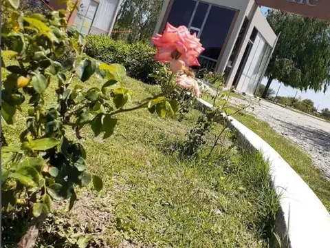 Terreno en Venta de 973,0 m2