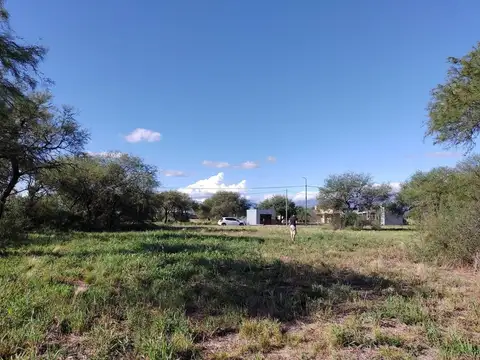 Terreno en Venta de 973,0 m2