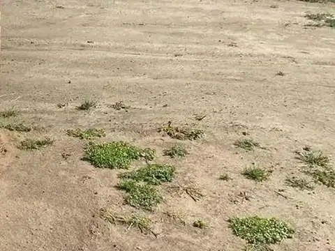 Venta Lote Interno en Amarras Puertos del Lago Escobar