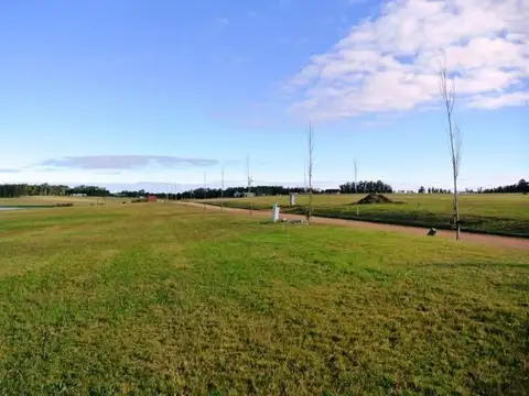 Terreno en Venta 51  mts Fondo