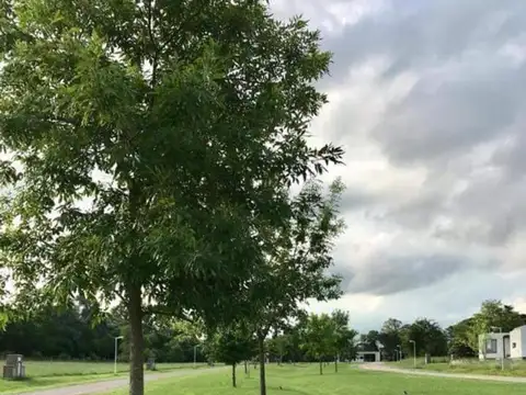 Terreno en Venta en Las Calandrias, USD 29.000