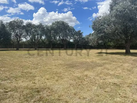 Terreno en Venta en Carlos Keen, USD 28.000