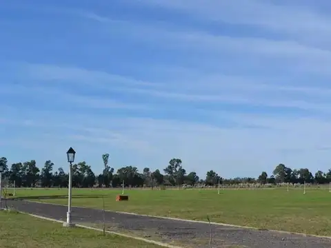 Belleville