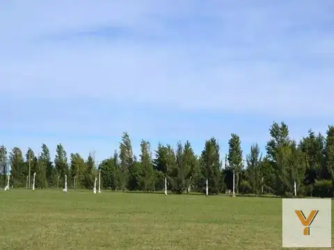 Terreno en Venta de 780,0 m2
