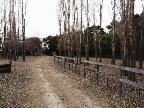 Villa Ruiz - Ruta Provincial N°2 S/n