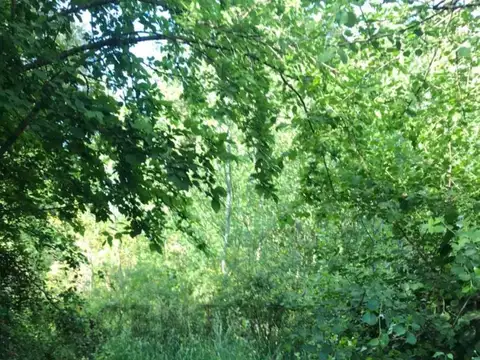 Terreno en Venta de 947,0 m2