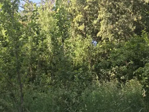 Tacuarita 100, Piso 0