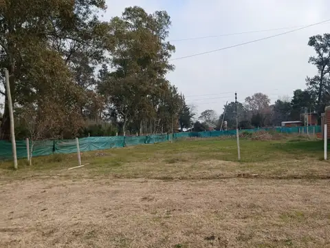 BELGRANO