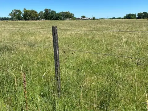 Terreno en Venta de 12694,0 m2