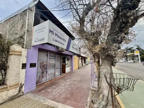 San Martín 861 Luján de Cuyo Mendoza