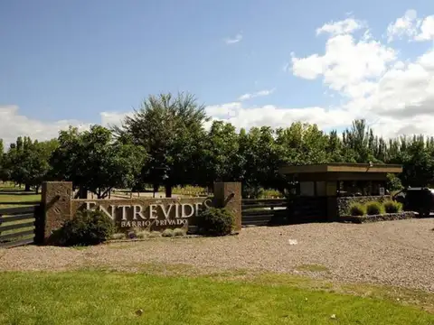 VENTA LOTE BARRIO ENTREVIDES TUPUNGATO