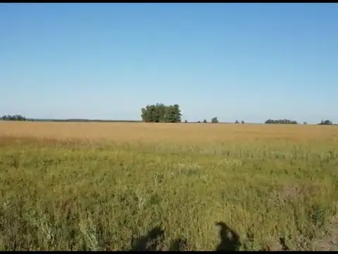 Campo Ruta 14 km 170 Colon Entre Rios  Ha: U$S 6000