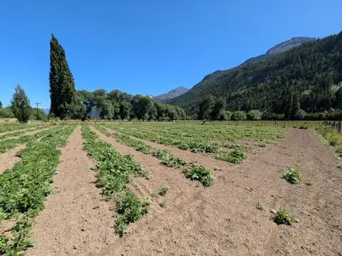 Terreno en Venta en El Hoyo, USD 39.000
