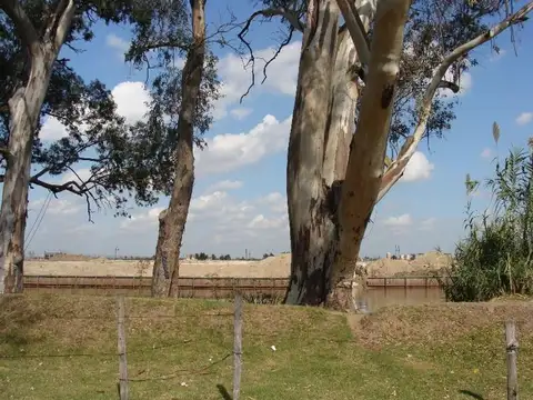 Avellaneda 500