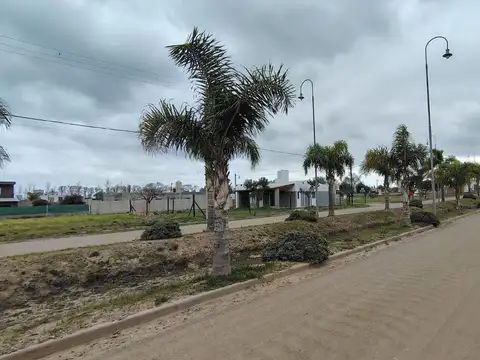 Terreno en Venta de 350,0 m2