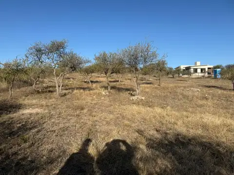 Terreno en Venta de 1000,0 m2