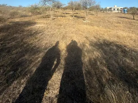 Terreno en Venta 20  mts Frente