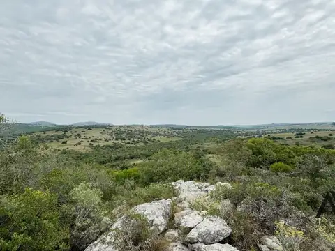 VENTA CHACRA 6 HS PANORAMICA SOBRE RUTA 60 PAN DE AZUCAR ARROYO MONTE NATIVO
