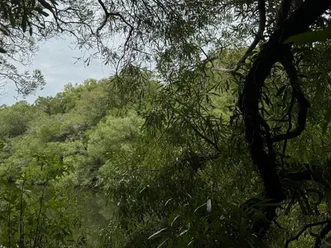 VENTA CHACRA 6 HS PANORAMICA SOBRE RUTA 60 PAN DE AZUCAR ARROYO MONTE NATIVO