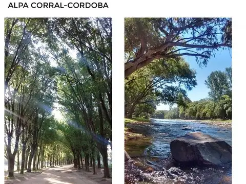 alpa corral
