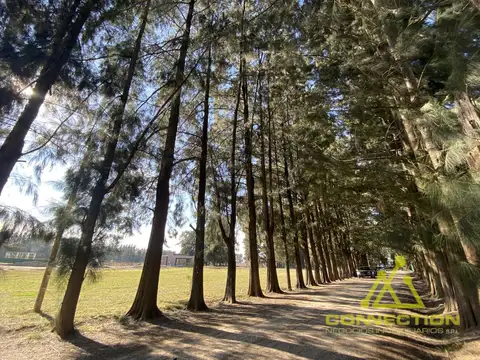 RP52 km 8,5, B1804 Canning, Provincia de Buenos Aires