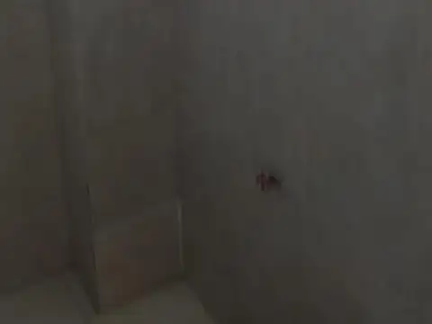 Departamento en Alquiler al Este