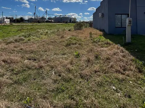 Terreno en Venta en Rosario del Tala, USD 9.000