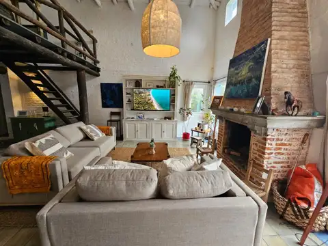 Punta del