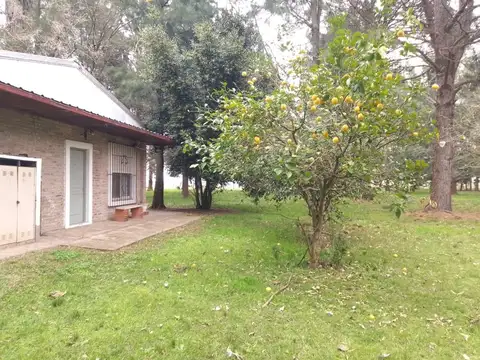 Ruta 6