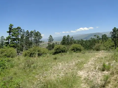 Terreno en Venta en La Cumbrecita, USD 140.000
