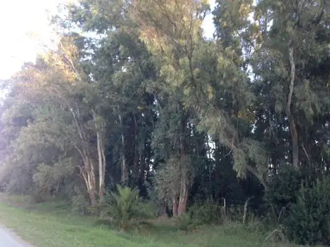 Las Flores, Km222 R3, sobre pavimento Villa Pardo