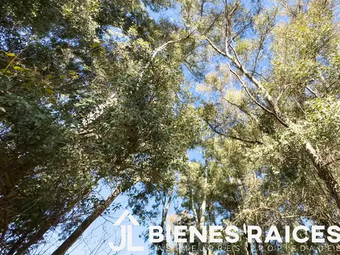 Lote en Pinares Exaltación de la Cruz